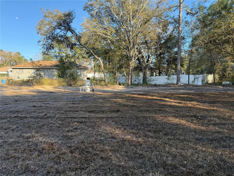 Natural landscape and outdoor views near  in Ocala (Image 9).