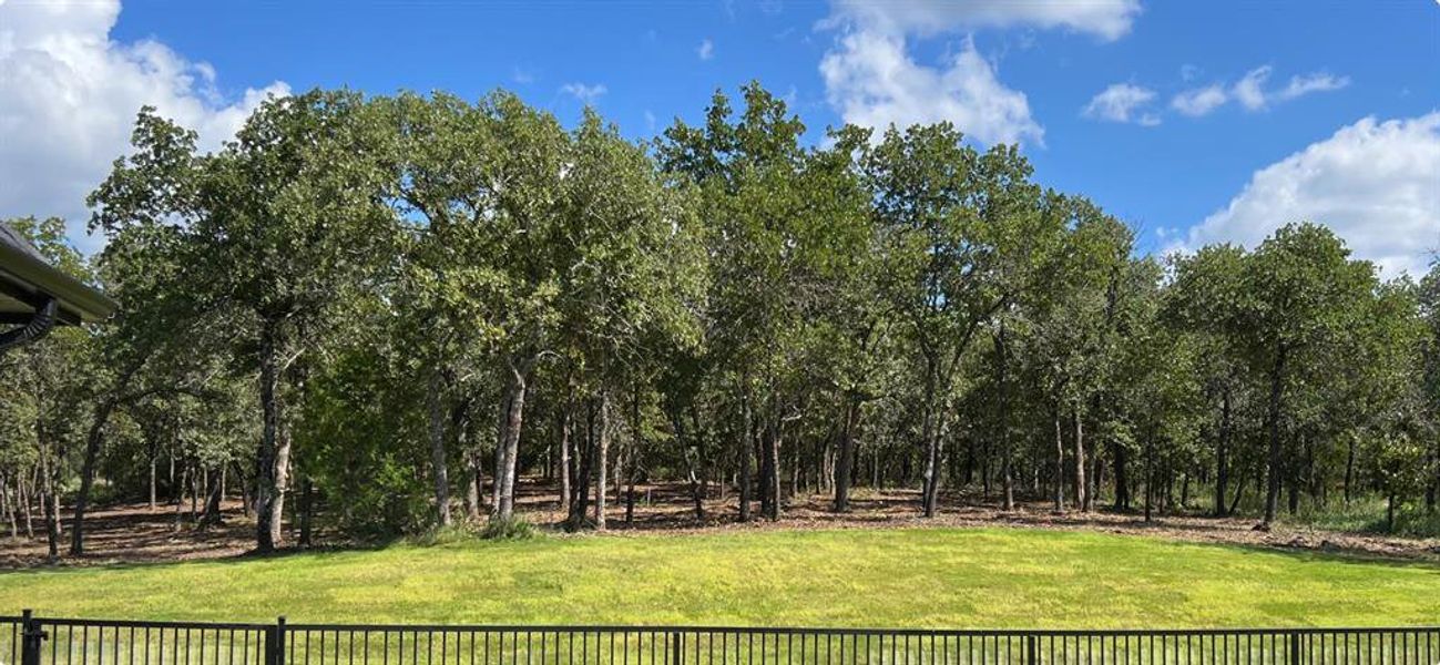 View of back property