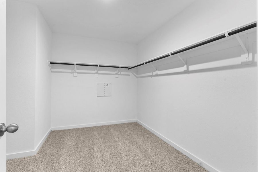 representative photo