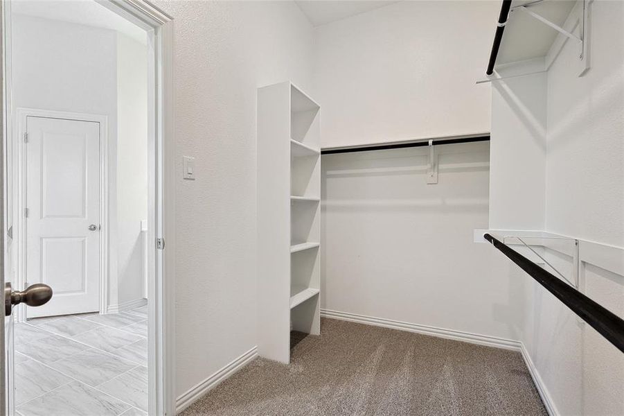 Walk in closet featuring light carpet