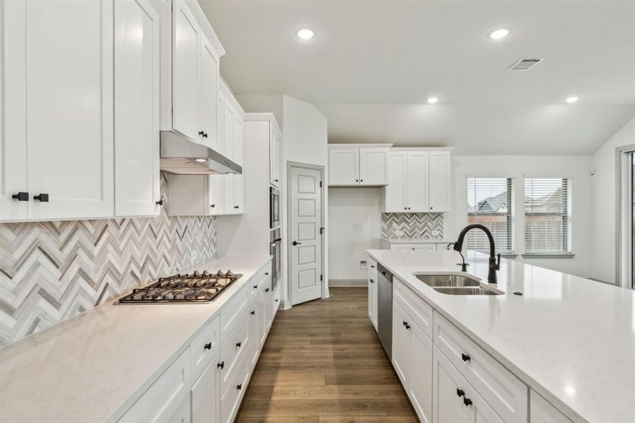 7-3629Maize_007 7-3629Maize_007