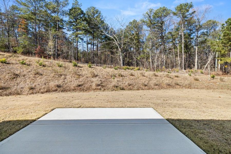 Natural landscape and outdoor views near Northwoods at Mirror Lake in Villa Rica (Image 44).