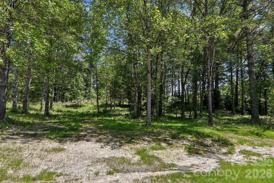 Natural landscape and outdoor views near  in Hendersonville (Image 41).