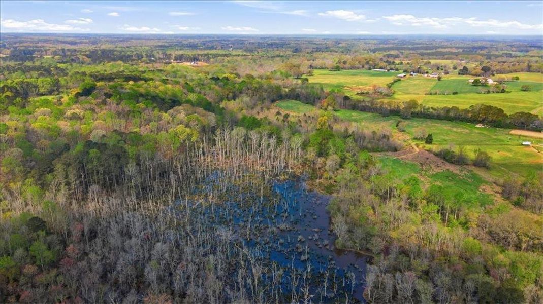 Natural landscape and outdoor views near Bradley Gin in Monroe (Image 61).