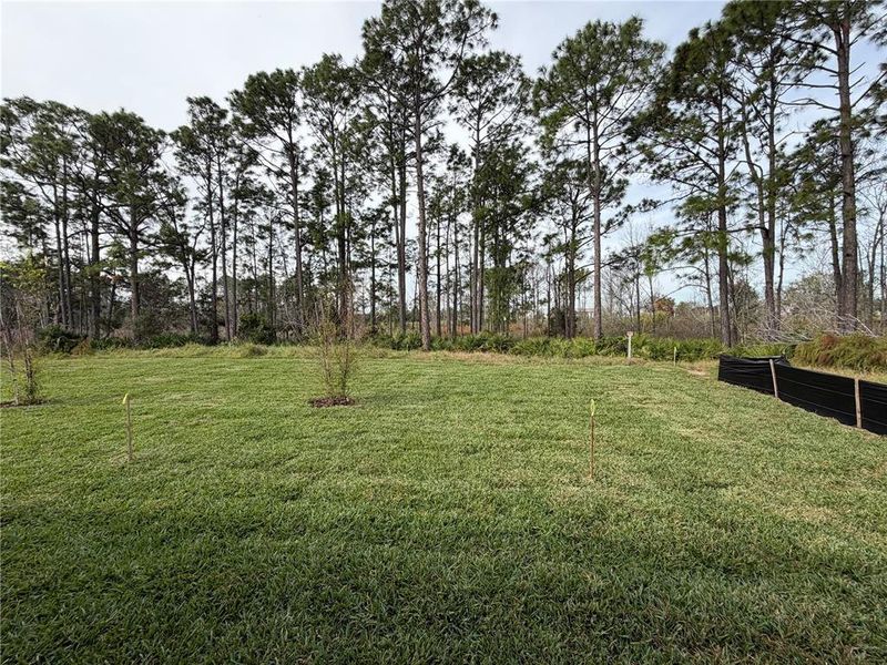 Natural landscape and outdoor views near The Magnolia Series at Reserve East in Flagler Beach (Image 30). Natural landscape and outdoor views near The Magnolia Series at Reserve East in Flagler Beach (Image 30).