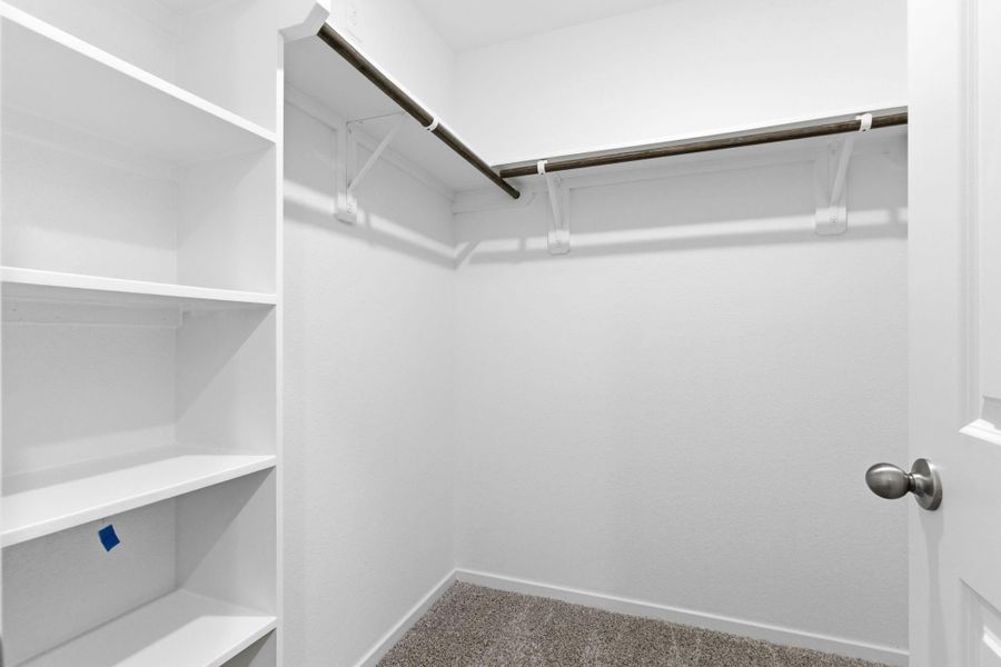 representative photo