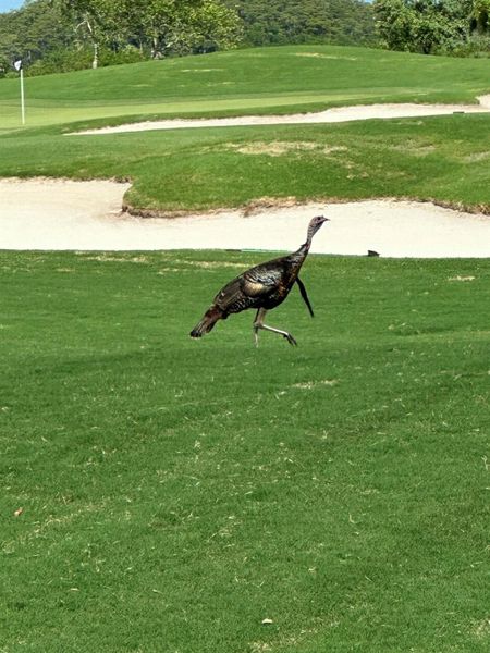 Image 34 of a home in .