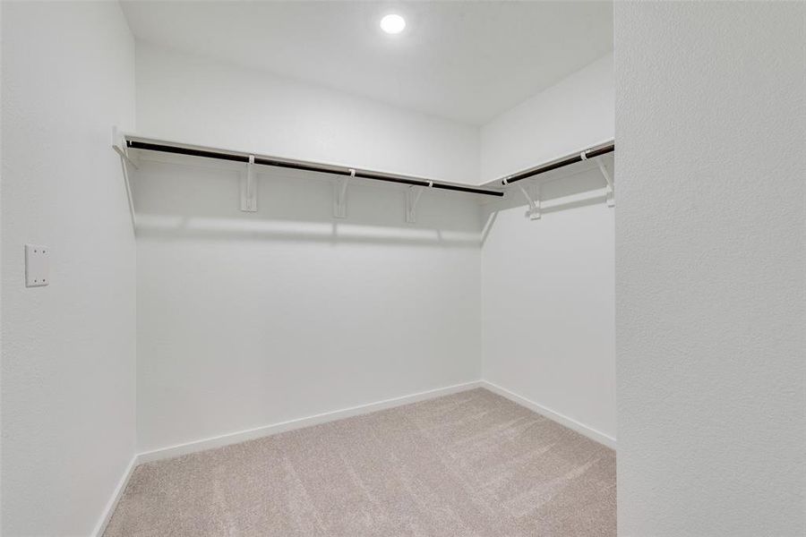 Spacious closet with light carpet