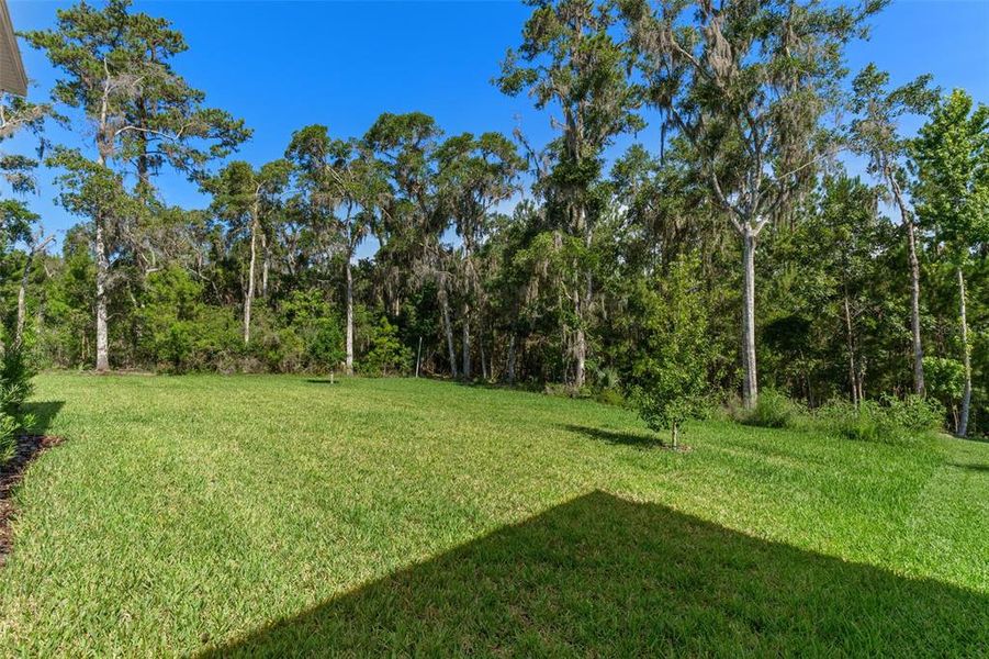 Natural landscape and outdoor views near Southern Hills Plantation in Brooksville (Image 57).