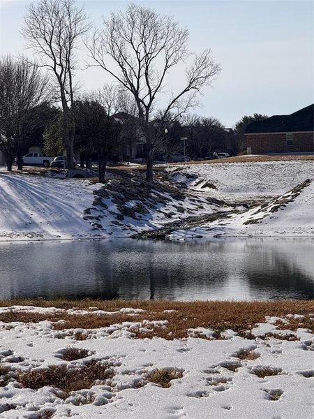 Capture after Snow and Ice storm