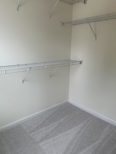 Spacious, unfurnished interior of a new home in The Wilcox, Greensboro (Image 28).