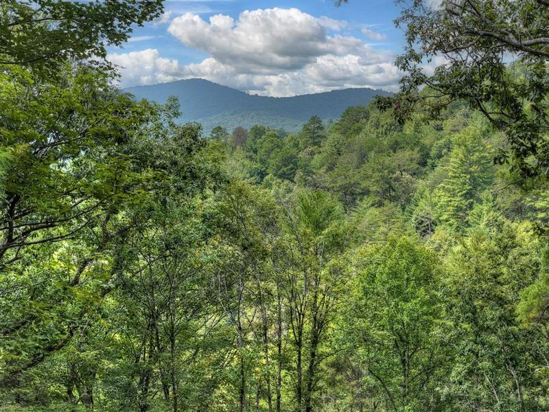 Natural landscape and outdoor views near in Cherry Log (Image 64). Natural landscape and outdoor views near in Cherry Log (Image 64).