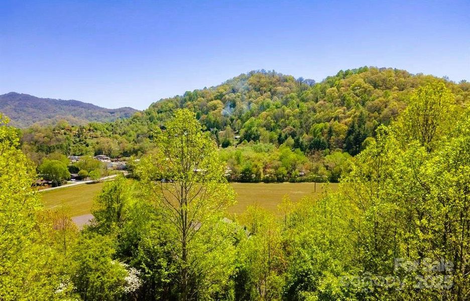 View from Rear Deck View from Rear Deck