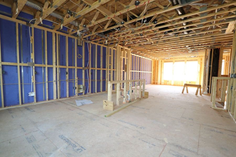 Framing Framing