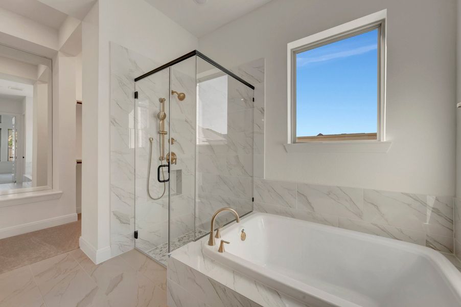 Owner's Bath