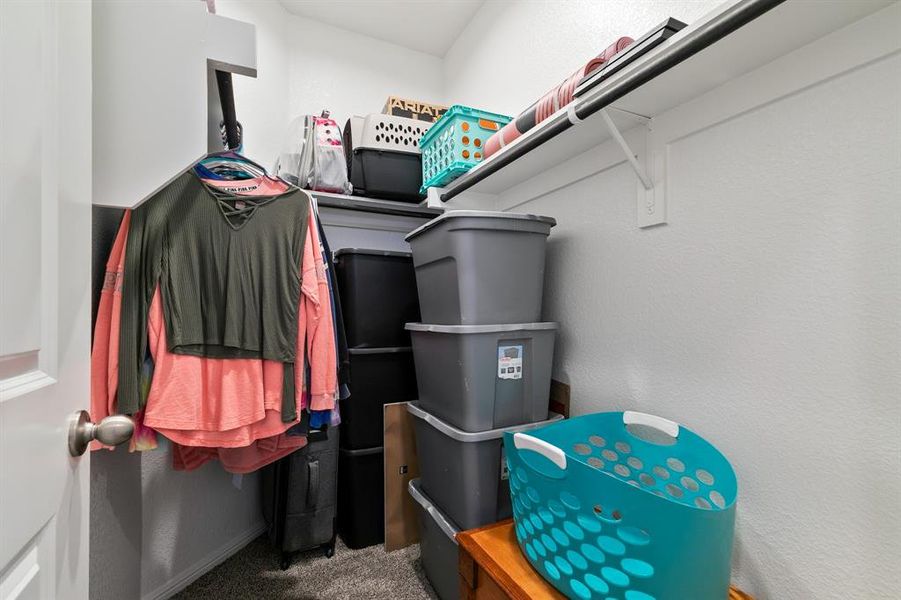 Walk in closet with carpet