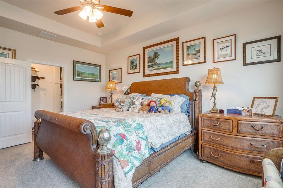 Bedroom with ceiling fan, carpet, a spacious closet, and a tray ceiling Bedroom with ceiling fan, carpet, a spacious closet, and a tray ceiling