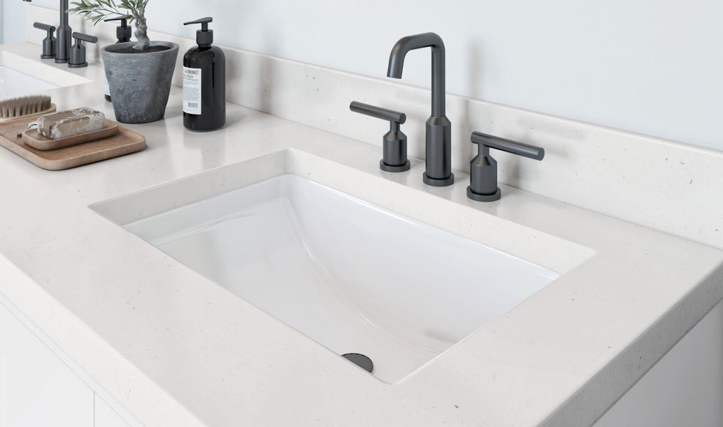 Primary bath with dual sinks and matte black fixtures throughout