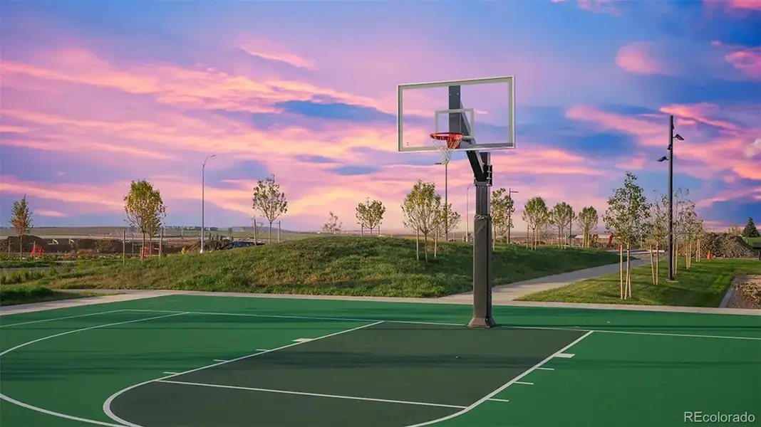 Basketball court