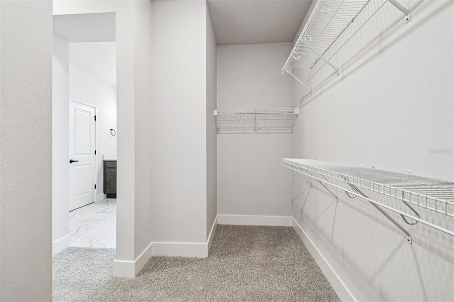 Spacious, unfurnished interior of a new home in Waterset Tradition Series, Apollo Beach (Image 18).