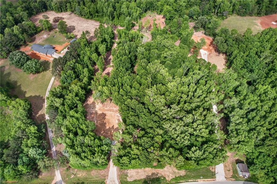 Natural landscape and outdoor views near  in Silver Creek (Image 45).