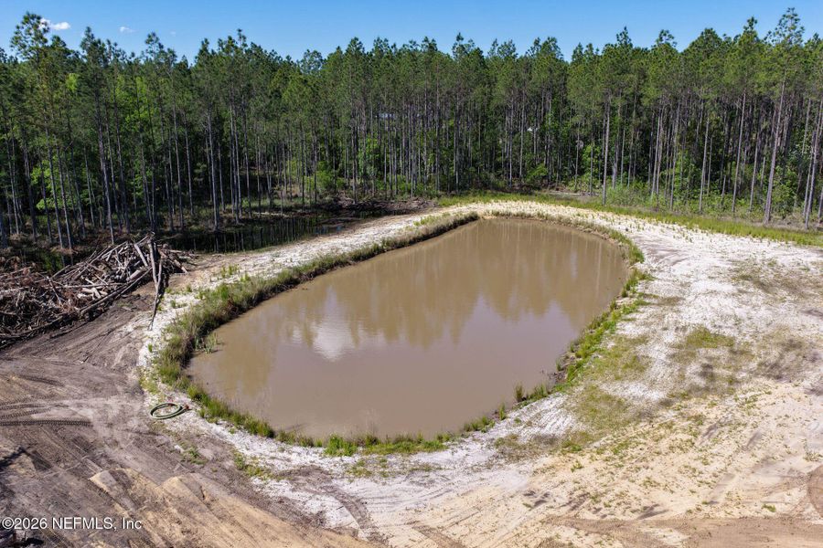 Natural landscape and outdoor views near  in Bunnell (Image 50).