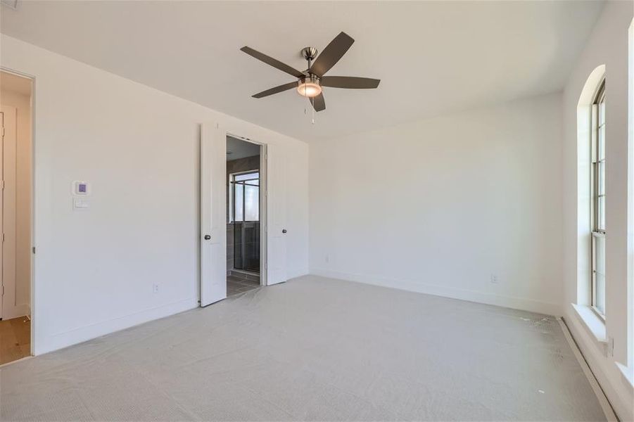 Unfurnished room featuring carpet, ceiling fan, and a wealth of natural light