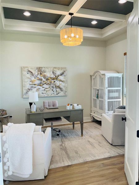 Study has shaker style doors, custom tray ceiling and view to front yard