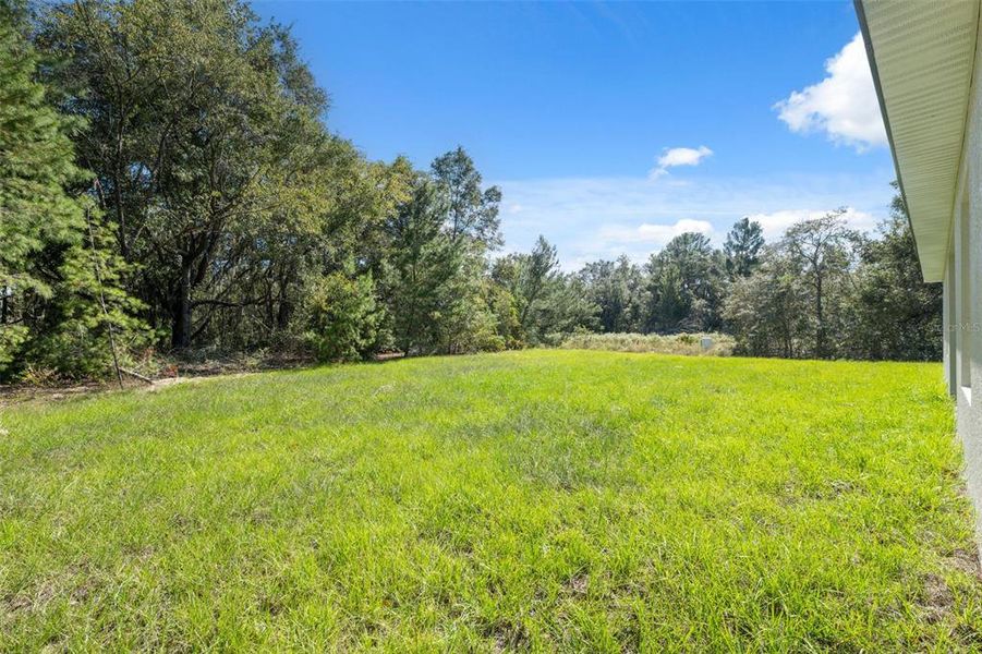 Exterior details and patio area of a home in , Ocala (Image 26). Exterior details and patio area of a home in , Ocala (Image 26).