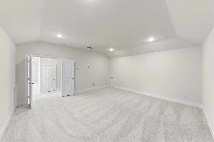 21. 7204 Indian Paintbrush - Media