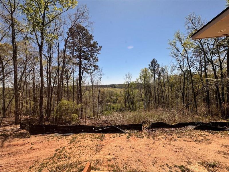 Natural landscape and outdoor views near in Douglasville (Image 54). Natural landscape and outdoor views near in Douglasville (Image 54).