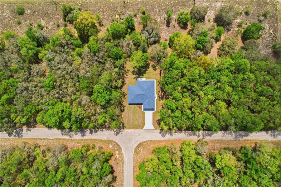 Natural landscape and outdoor views near in Dunnellon (Image 33). Natural landscape and outdoor views near in Dunnellon (Image 33).