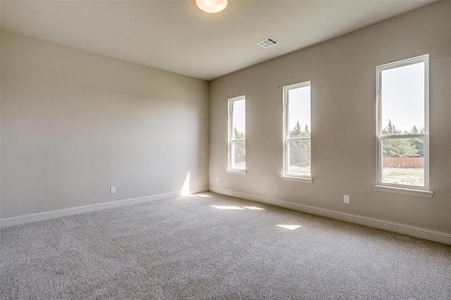 Carpeted empty room featuring a healthy amount of sunlight