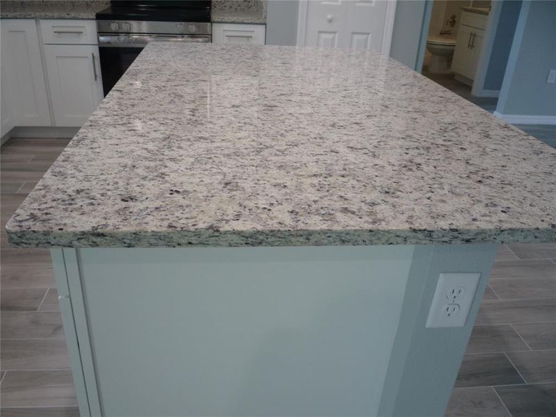 Close-up of interior finishes inside a home in , Ocala (Image 11).
