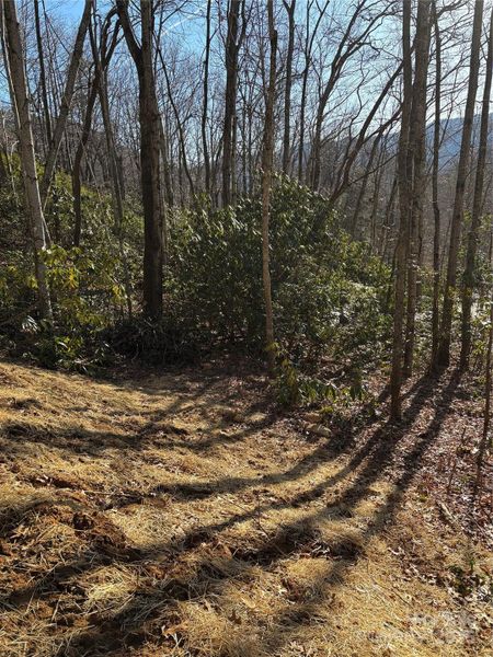 Natural landscape and outdoor views near  in Maggie Valley (Image 6).