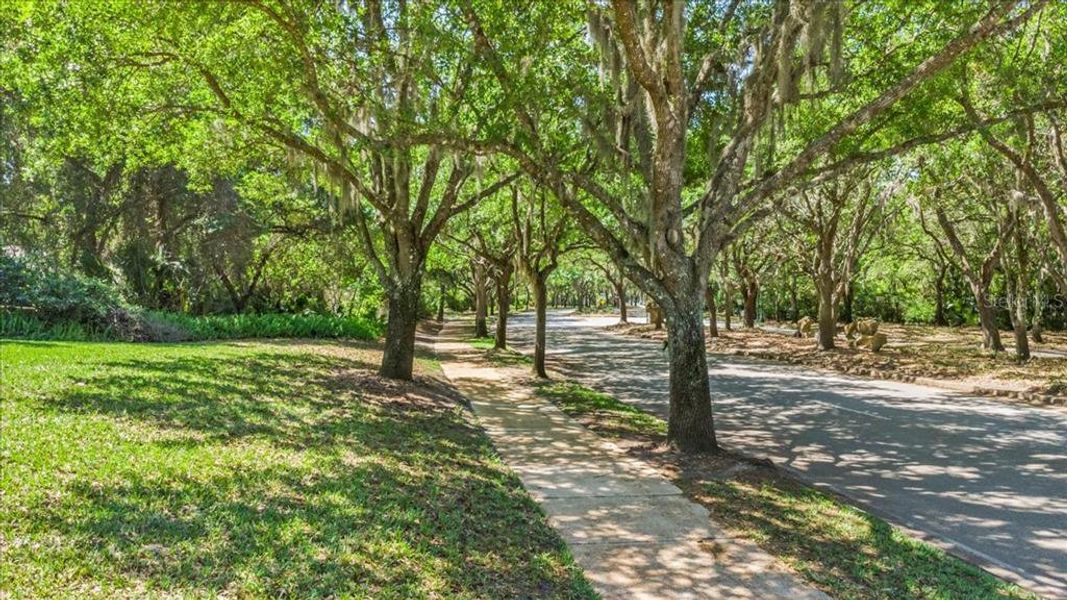 Natural landscape and outdoor views near Windchase at Halifax Plantation in Ormond Beach (Image 57). Natural landscape and outdoor views near Windchase at Halifax Plantation in Ormond Beach (Image 57).