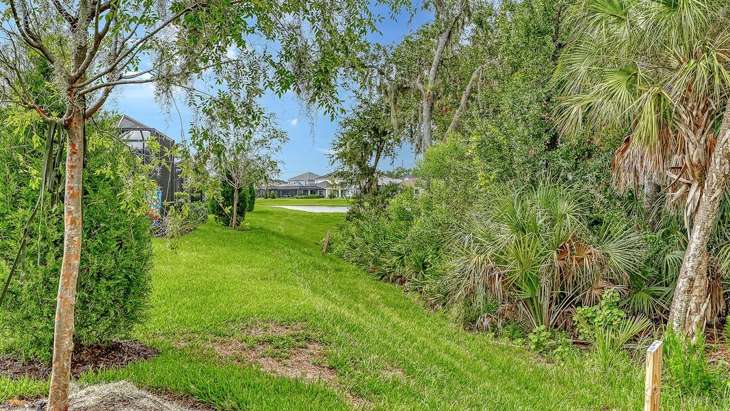 Natural landscape and outdoor views near Wildleaf Real Estate and Homes for Sale in Parrish, FL - Neal Communities in Parrish (Image 35). Natural landscape and outdoor views near Wildleaf Real Estate and Homes for Sale in Parrish, FL - Neal Communities in Parrish (Image 35).