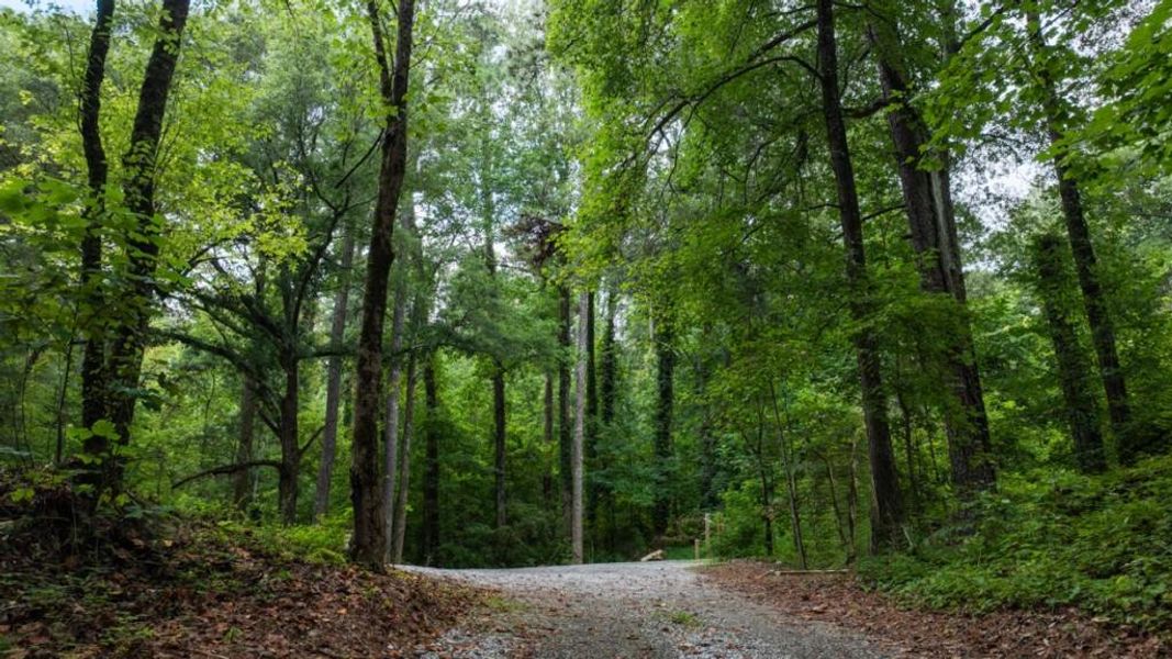 Natural landscape and outdoor views near Woodbury Park in Atlanta (Image 37). Natural landscape and outdoor views near Woodbury Park in Atlanta (Image 37).
