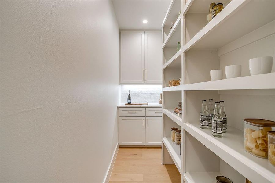 large pantry with addition countertop space and plug mold for all appliances + undercounter lighting large pantry with addition countertop space and plug mold for all appliances + undercounter lighting