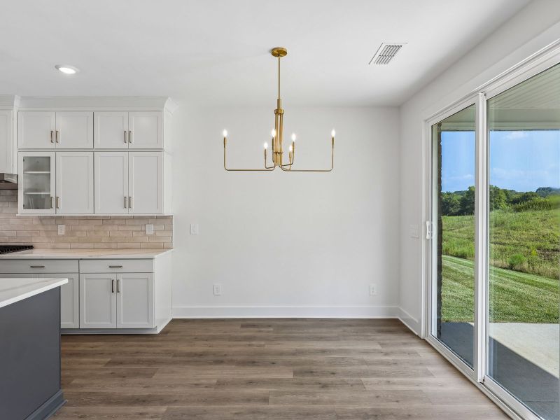 Spacious, unfurnished interior of a new home in Station Hill - Estate Series, Franklin (Image 11).