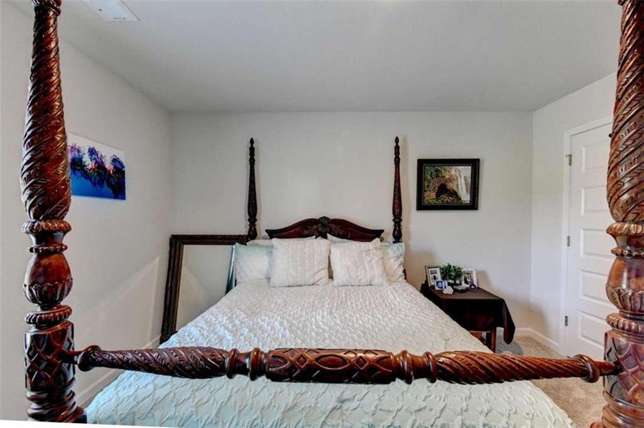 Furnished interior view inside a new home in Twin Lakes, Hoschton (Image 43).