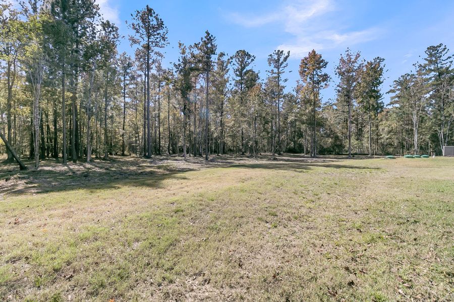 Natural landscape and outdoor views near  in Huger (Image 42).