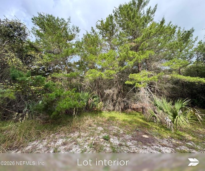 Natural landscape and outdoor views near  in St. Augustine (Image 31).