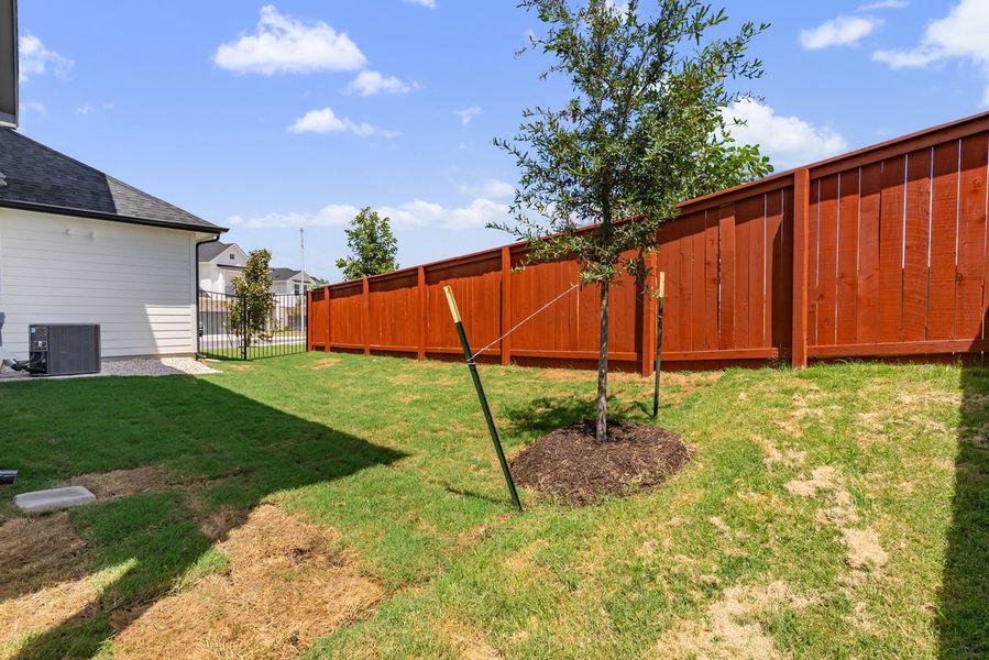 036_dsc01208_324 036_dsc01208_324