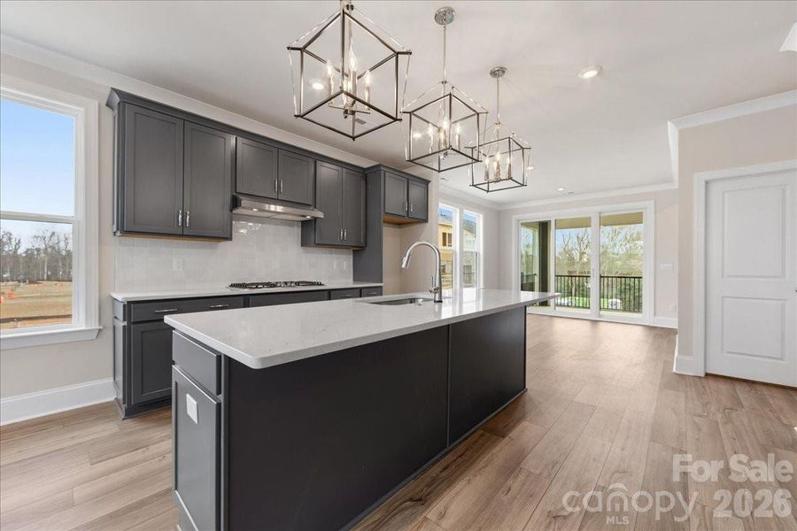 Furnished interior view inside a new home in Ross Farms, Charlotte (Image 10).