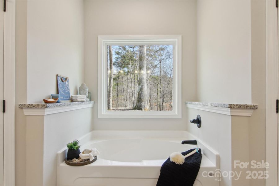 Furnished interior view inside a new home in , Bryson City (Image 35).