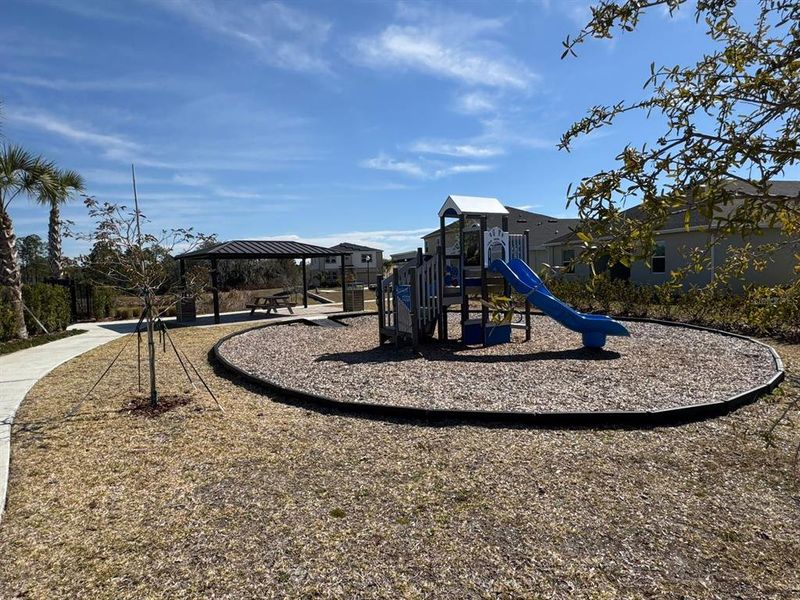 Community amenities in , Davenport (Image 29).