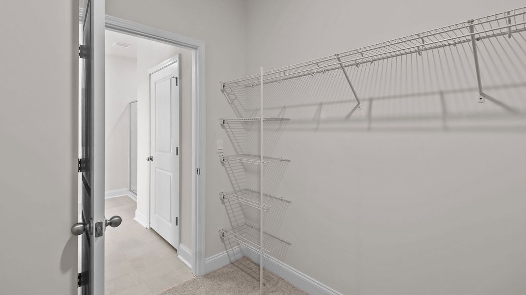 Spacious, unfurnished interior of a new home in Bedford Place, Wilson (Image 27). Spacious, unfurnished interior of a new home in Bedford Place, Wilson (Image 27).