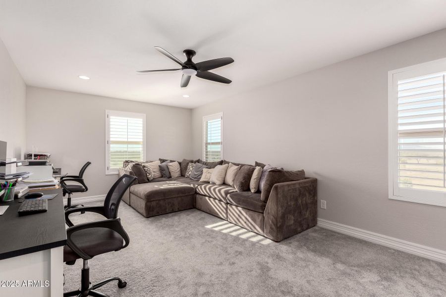 34 - Mariposa Grande 14045