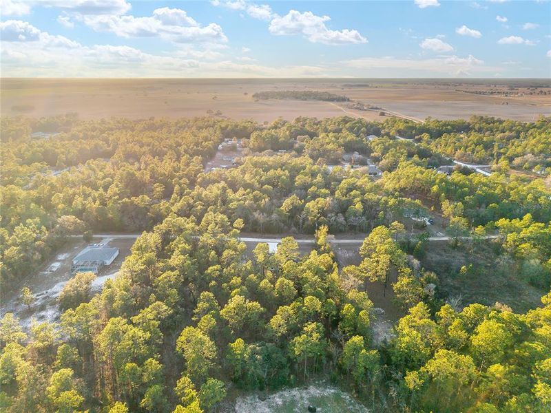 Natural landscape and outdoor views near  in Dunnellon (Image 66).